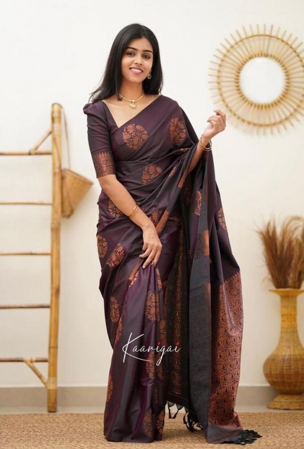 Soft Lichi 4064 Fancy Wear Silk Saree Collection